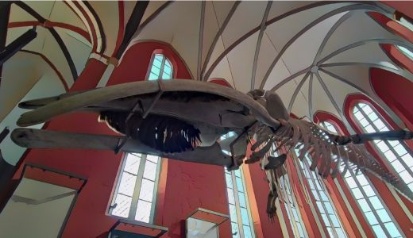 AusstellungphanTECHNIKUM AusstellungphanTECHNIKUM